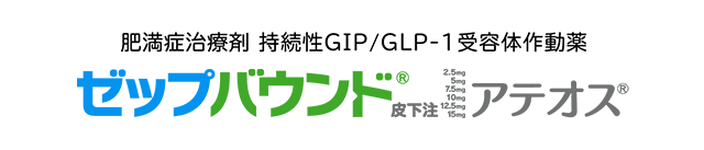 ゼップバウンド（発売準備中）